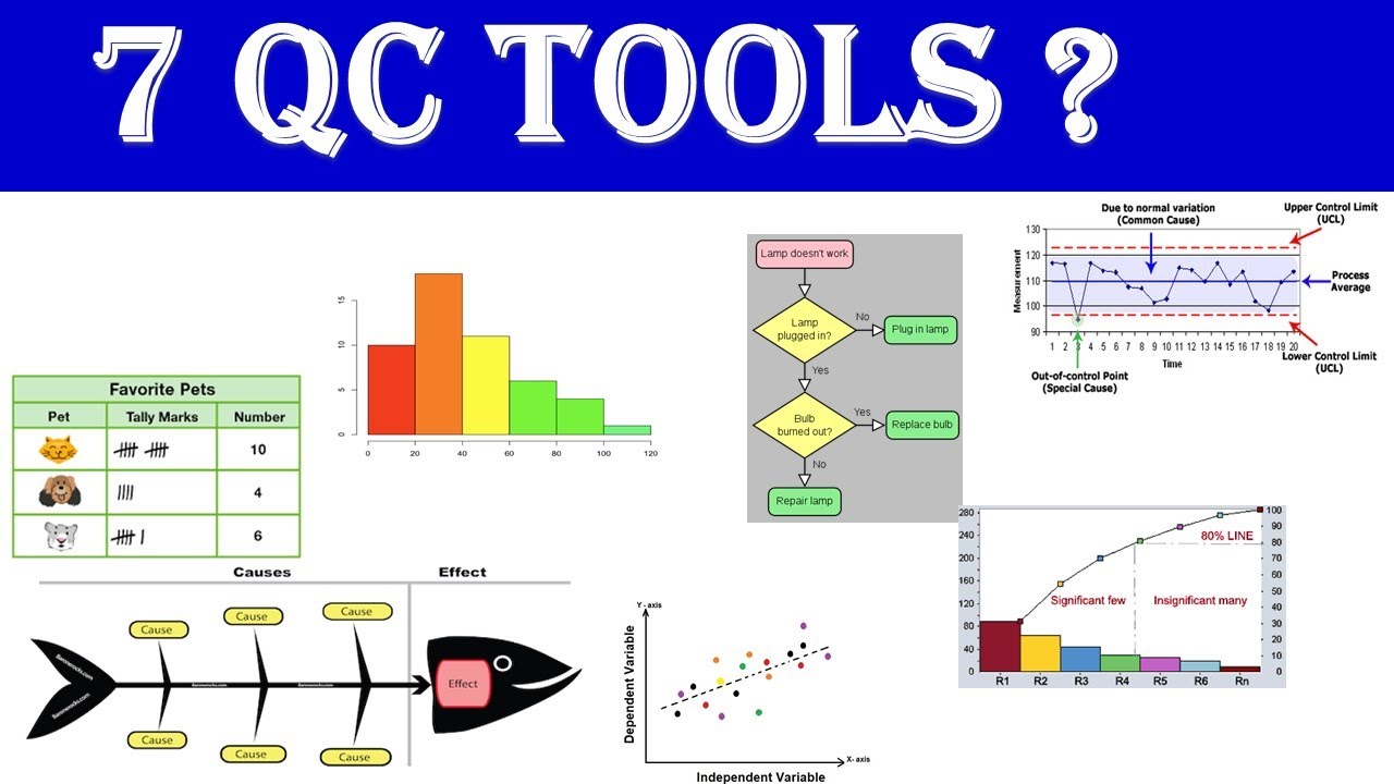 7QC Tools Course | Master Problem-Solving Techniques Online